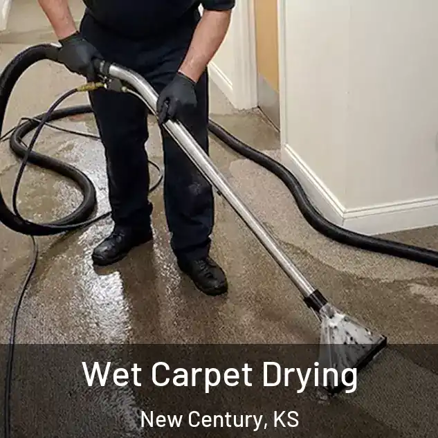  Wet Carpet Drying New Century, KS