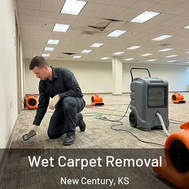  Wet Carpet Removal New Century, KS